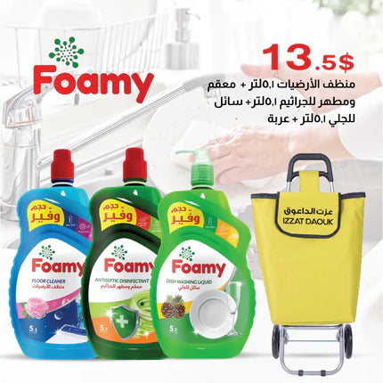 Foamy Floor Cleaner + Antiseptic + Dishwashing Liquid 5L +vehicle Gift offer