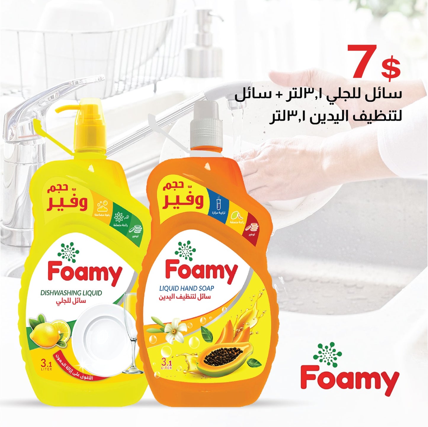 Faomy Dishwashing+ Liquid HandSoap offer