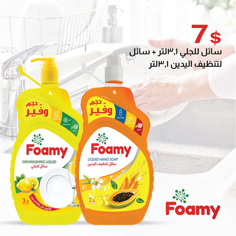 Faomy Dishwashing+ Liquid HandSoap offer