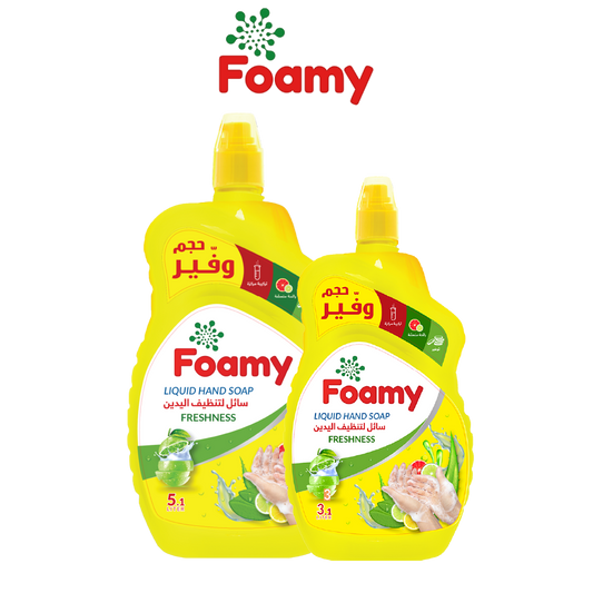 Foamy Liquid Hand Soap Freshness - 2 Sizes