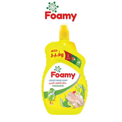 Foamy Liquid Hand Soap Freshness - 2 Sizes